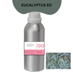 Eucaluptus Essential Oil