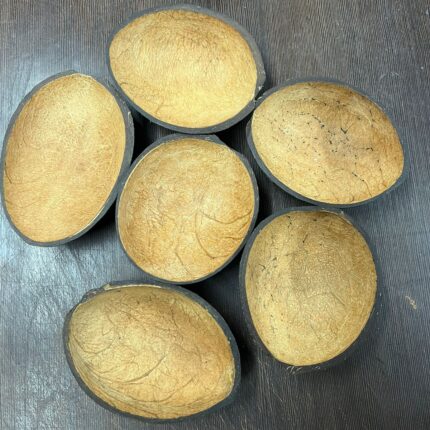 Oval Coconut shell