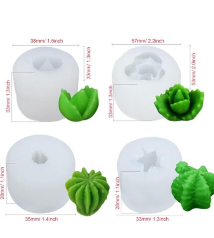Succulent pack of 4 moulds