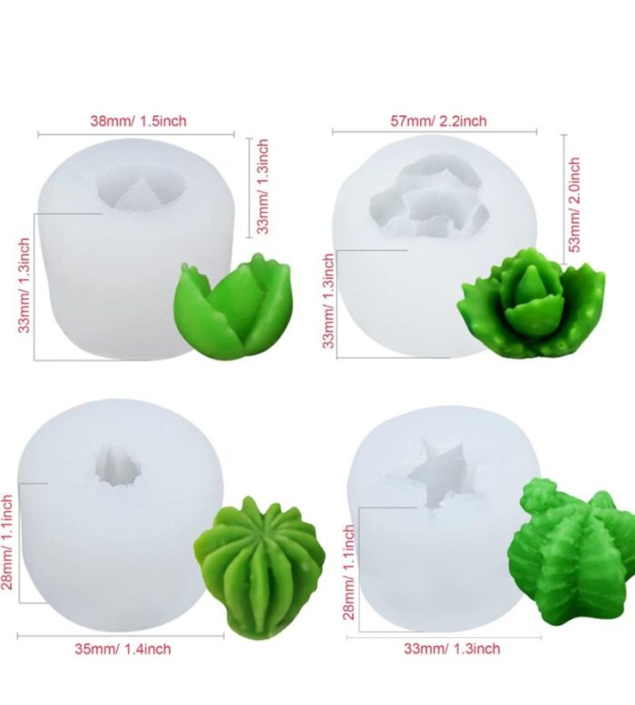 WhatsApp Image 2025-08-08 at 12.23.02 PM