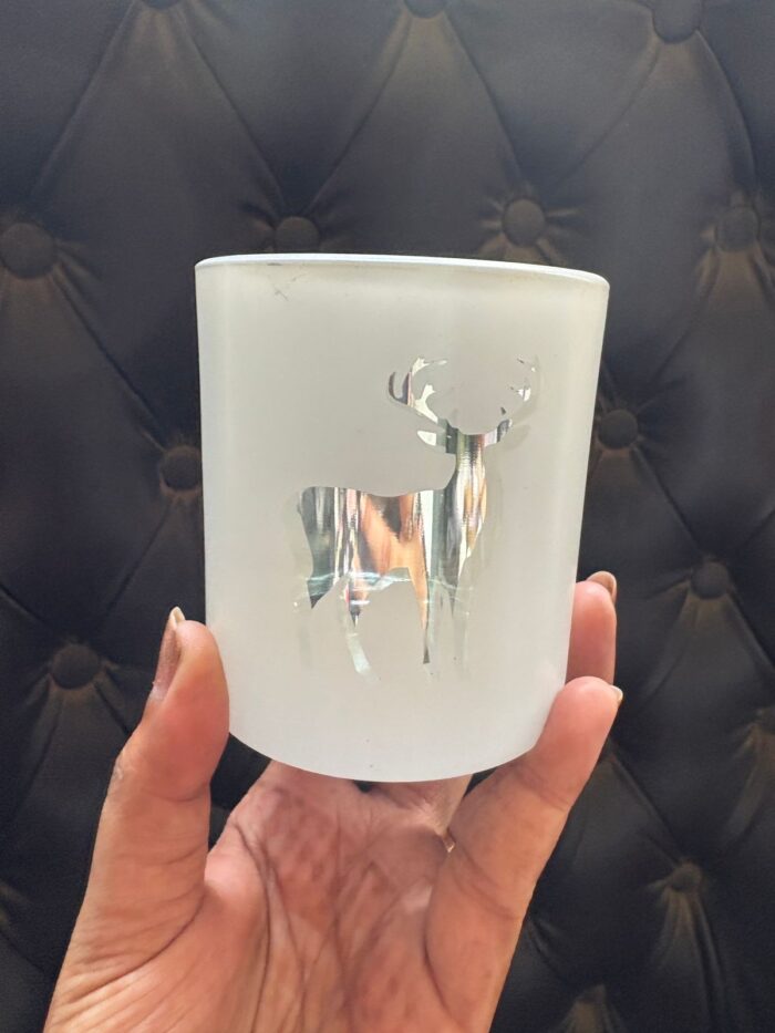 WhatsApp Image 2025-12-06 at 12.54.42 PM (1)