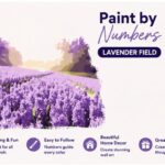 Lavender Field - Paint by numbers painting kit